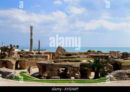 Antonine Bagni, Cartagine, Tunisia Foto Stock