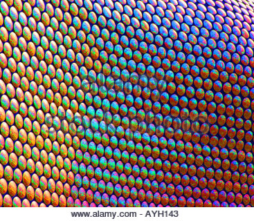 Altered digitalmente immagine grafica dei pannelli di rivestimento in corrispondenza di magazzini Selfridges Birmingham Bullring REGNO UNITO Foto Stock