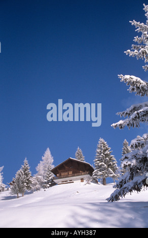 "Tradizionali Chalet in legno in montagne svizzere in inverno con neve e abete in primo piano e il blu cielo senza nuvole" Foto Stock