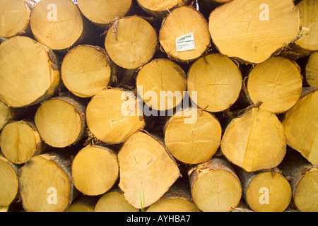 Struttura impilata registra nei pressi di Torsby nella contea di Varmland Svezia Foto Stock