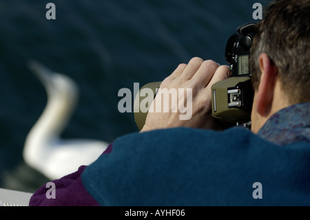 Francia fotografo di scattare una foto di un gannett northern morus bassan Foto Stock
