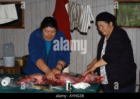 Cree donne la cottura di materie beaver carne Mistissini Quebec Foto Stock