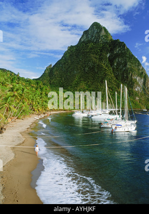 Donna che cammina sulla riva sabbiosa a Margretoute baia sottostante Petit Piton su St Lucia isola in West Indies Foto Stock