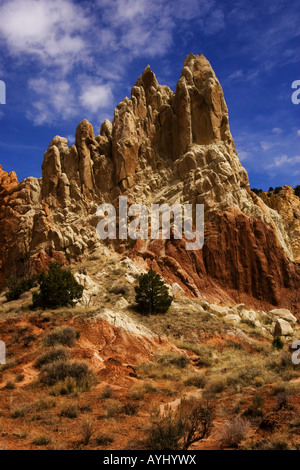 Pioppi neri americani Canyon Road, Nr page Arizona Foto Stock