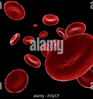 Cellule di sangue rosso su sfondo nero Foto Stock
