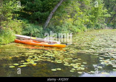 Kayak ormeggiati a dock nel letto di ninfee. Gull Lago di Danbury Wisconsin USA Foto Stock