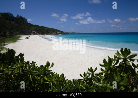 Petit Anse, La Digue Island, Seicelle Foto Stock