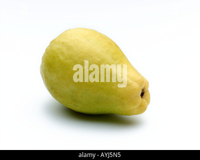 White guava Foto Stock