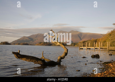 Derwentwater Lake District Cumbria Regno Unito novembre un pontile sulla Derwentwater in Borrowdale nel tardo pomeriggio la luce Foto Stock