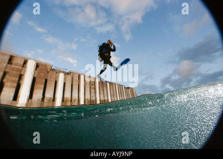 Scuba Diver facendo stride gigante voce fuori dock, Bonaire, Antille olandesi Foto Stock