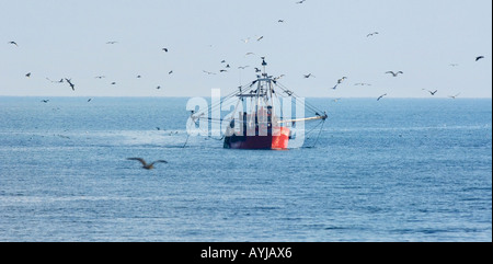 A pieno carico peschereccio ritorna alla Newhaven Porto sulla costa del Sussex. Foto da Jim Holden. Foto Stock