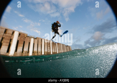 Scuba Diver facendo gigante voce stride dal dock nell acqua, Bonaire, Antille olandesi Foto Stock