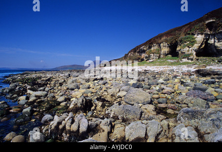 Dunvegan coral beach Isola di Skye Ebridi Interne Western Highland nord ovest della Scozia UK Europa Foto Stock