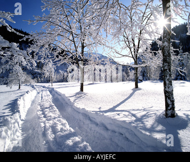 DE - Baviera: Alpina winterscene vicino a caduta Foto Stock