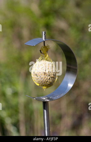 In acciaio inox design bird feeder con appeso un palla di suet in una rete Foto Stock