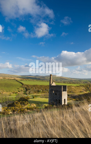 Wheal Betsy Motore di data mining Casa, Maria Tavy, Devon Foto Stock