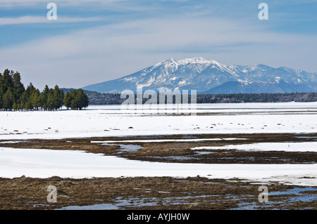 Guardando attraverso un mormone congelati lago verso il San Francisco Peaks vicino a Flagstaff, in Arizona Foto Stock