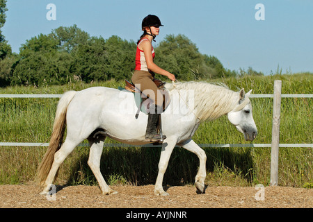 Ragazza equitazione su pony Connemara, utilizzando un anello del collare Foto Stock