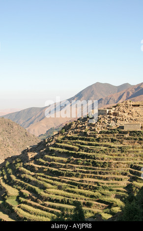 Villaggio berbero mostra aree agricole atlante, Marocco Foto Stock