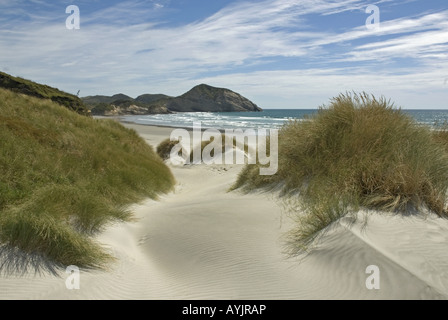 Imponenti dune a Wharariki Beach nel lontano nord dell'Isola del Sud della Nuova Zelanda Foto Stock