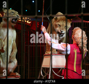 Femmina di domatore di leoni durante la mostra del Circus Renz a Maastricht Foto Stock