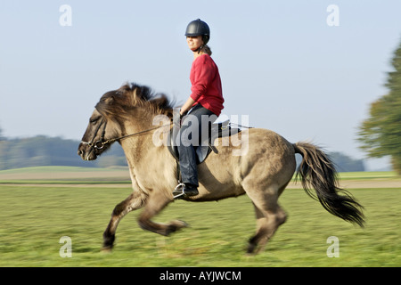 Giovane pilota al galoppo sulla schiena del cavallo islandese Foto Stock