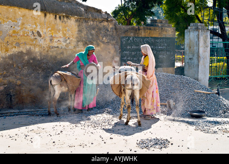 INDIA UDAIPUR due donne indiane vestite di bella luminosa sari colorati lavorare per la costruzione di strade di ghiaia di caricamento su asini Foto Stock