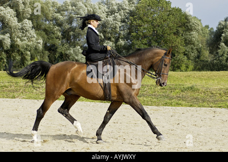 Pilota femmina storica in costume su un cavallo bavarese Foto Stock