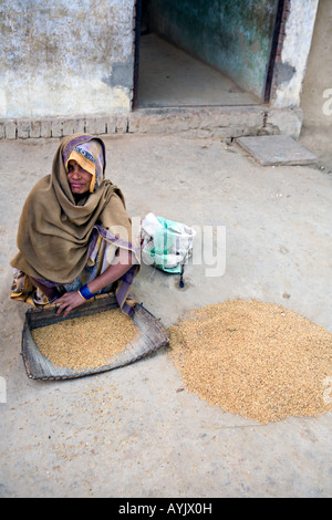 INDIA MAHADEPUR giovane donna indiana che lavora al di fuori di casa sua in India rurale setacciatura di riso sul terreno Foto Stock