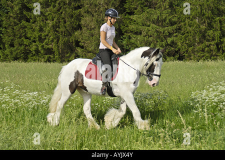 Ragazza a cavallo sul retro di un Irish Tinker cavallo Foto Stock