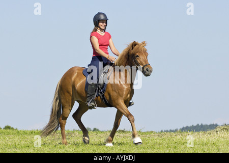 Ragazza in sella sul cavallo islandese Foto Stock