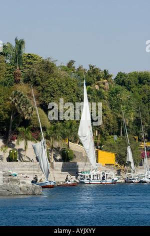 Aswan Giardino Botanico Aswan o Assuan Valle del Nilo superiore Sud Egitto Foto Stock