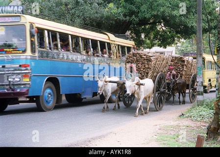 Giovane uomo alla guida di un due buoi di carro e un bus locale India Kerala uno stato sulla costa tropicale di India sud occidentale Foto Stock