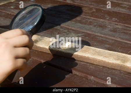 Lente di ingrandimento utilizzata per bruciare il legno Foto Stock