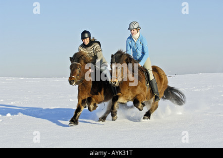 Due giovani piloti al galoppo su cavalli islandesi Foto Stock