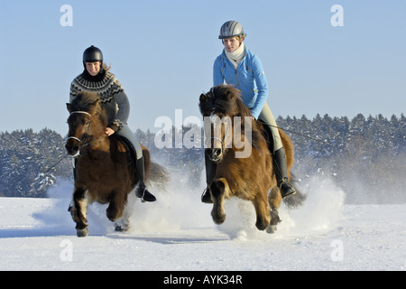 Due giovani piloti al galoppo su cavalli islandesi Foto Stock