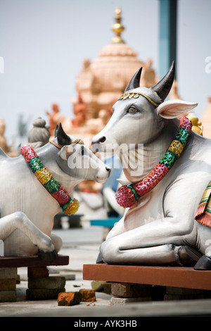 Vacche ornamentali, simboli sacri di credenze religiose Foto Stock