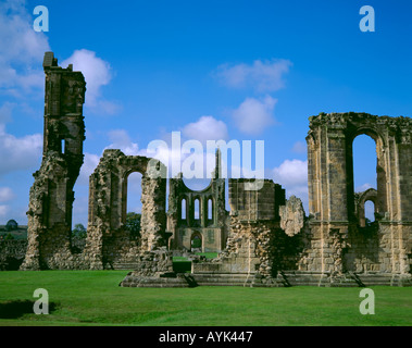 Rovine dell'Abbazia di Byland, nei pressi del villaggio di Coxwold, North Yorkshire, Inghilterra, Regno Unito Foto Stock