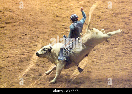 Cowboy a cavallo di un strappi bull a metà in aria al rodeo Foto Stock