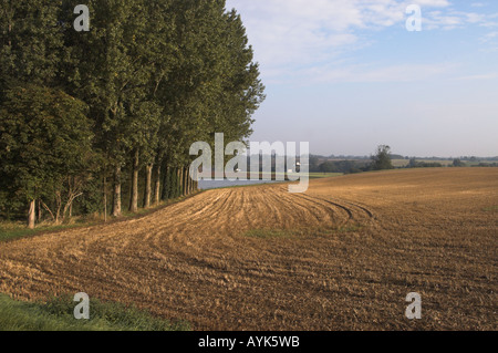 Essex campagna grande Bardfield Essex Foto Stock