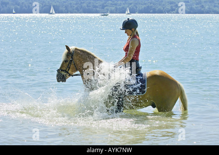 Ragazza in sella a un cavallo Haflinger nel lago Foto Stock