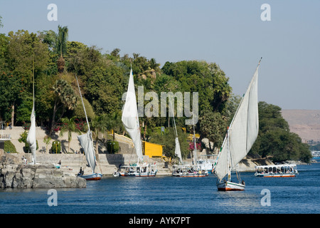 Aswan Giardino Botanico Aswan o Assuan Valle del Nilo superiore Sud Egitto Foto Stock