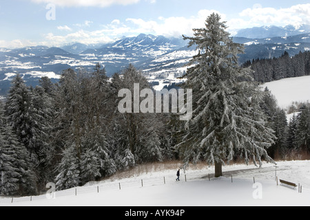 Austria Vorarlberg, Bregenz, vista dal monte Pfaender 1064 m sulle Alpi Foto Stock