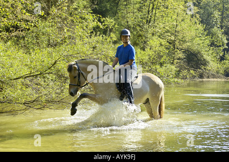 Giovane pilota sul norvegese cavallo - in acqua Foto Stock