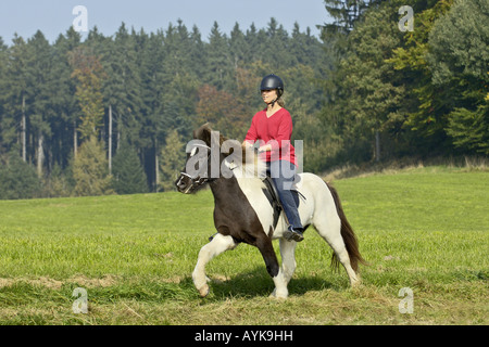 Giovane cavaliere a cavallo islandese - trotto su prato Foto Stock