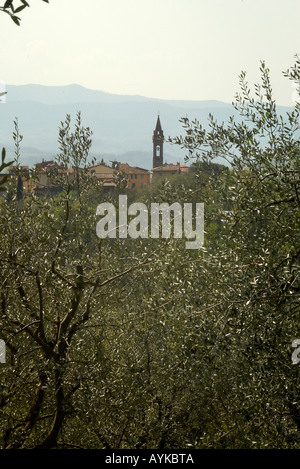 Le Balze Arezzo Toscana Italia montante verticale verticale Foto Stock