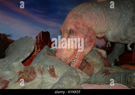 Tyrannosaurus Rex Foto Stock
