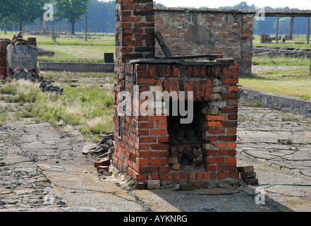 La cottura ed il riscaldamento di gamma in resti di un distrutto baita in legno nell'ex campo di concentramento nazista di Auschwitz Birkenau. Foto Stock