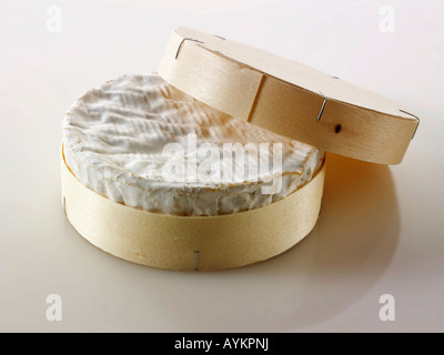 Francese formaggi regionali - Camembert Foto Stock