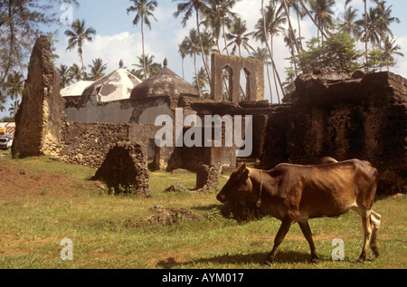 Una mucca lambisce in motivi di Maruhubi Palace costruito nel 1882 per Sultan Barghash's Harem nell ovest dell isola di Zanzibar, Tanzania Foto Stock
